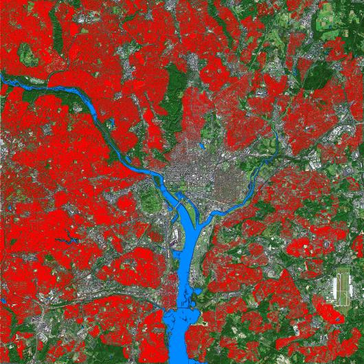 Washington Privatized Green Space